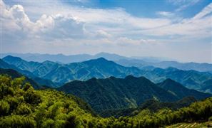 钓具市场需求及投资策略分析研究报告2024(图3)