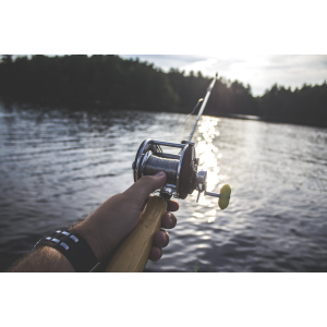 九游娱乐:2024最全美国钓鱼攻略(钓鱼证+钓法与技巧+装备清单+各州免费日时间)(图2)