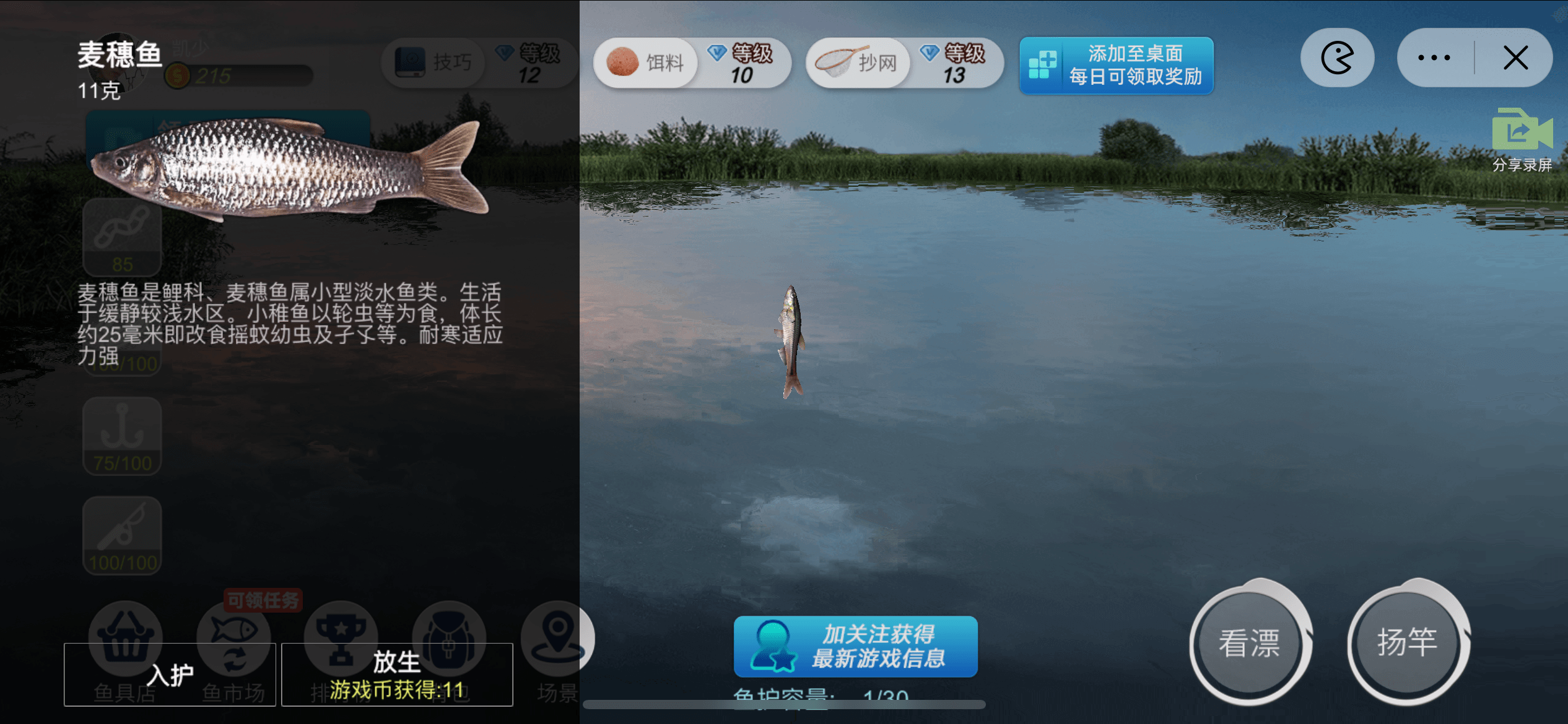 钓鱼新手必备：教你如何准备完美的钓鱼装备(图2)