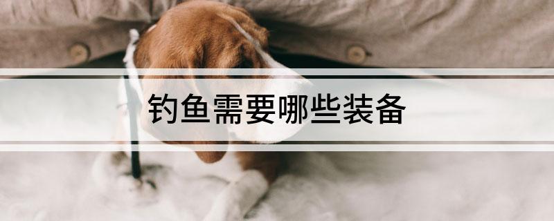 钓鱼需要哪些装备