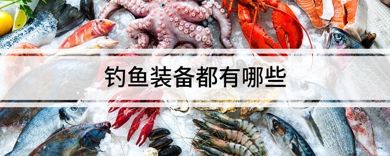 钓鱼装备都有哪些
