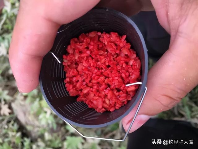 新手垂钓要准备多少装备才能“入坑”？钓鱼萌新晒出清单(图7)