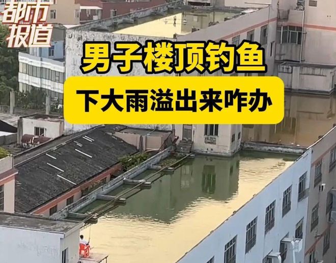 钓鱼界天花板！广东一男子在自家楼顶打造钓鱼圣地引发网友热议(图3)