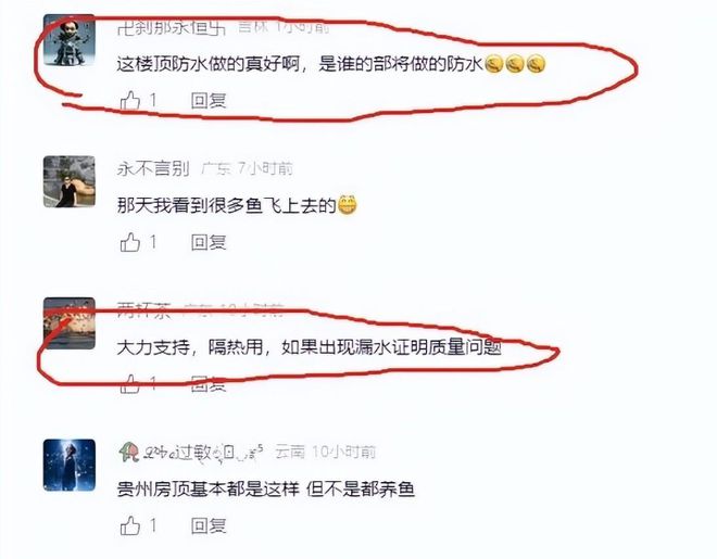 钓鱼界天花板！广东一男子在自家楼顶打造钓鱼圣地引发网友热议(图7)