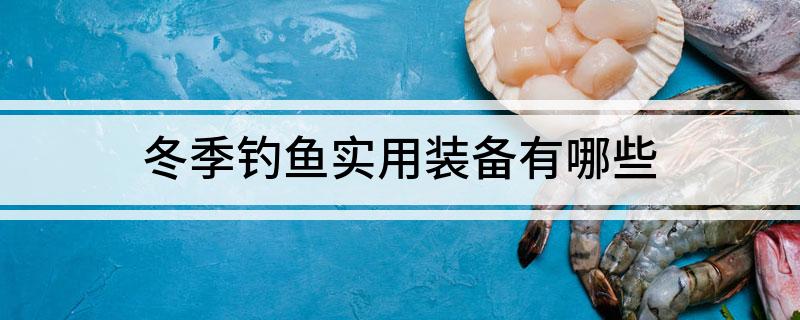 冬季钓鱼实用装备有哪些