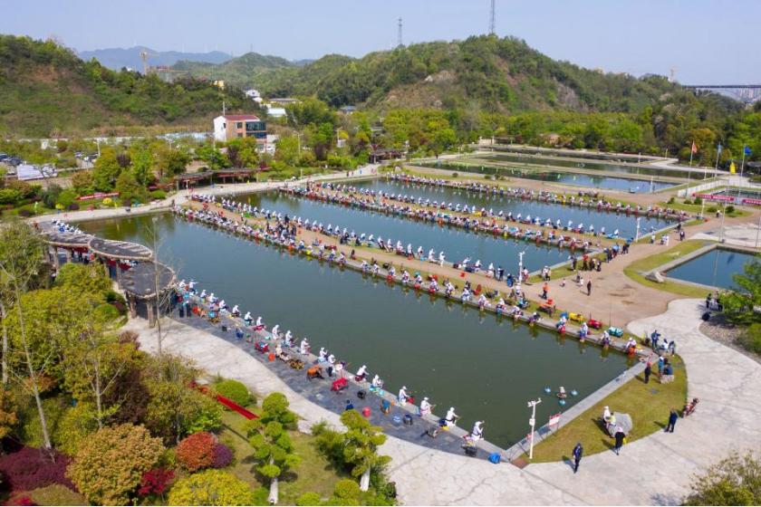 观潮的螃蟹丨临湘小浮标钓起大产业(图9)