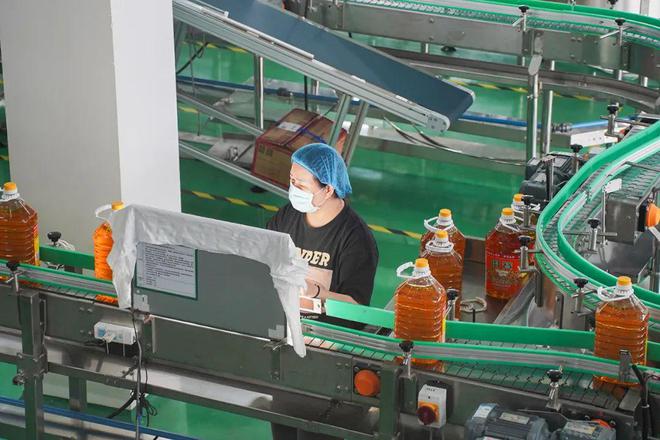 路通即财通黄茅海跨海大桥即将开通江门的企业有更好的未来(图3)