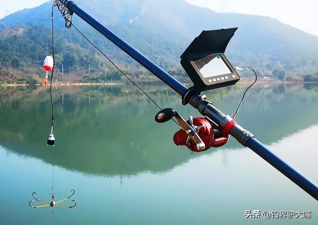 九游娱乐：“穿膛帮”作妖！陕西一河道出现巨型鲤鱼浮尸鱼腹锚钩让人气愤(图4)