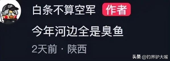 九游娱乐：“穿膛帮”作妖！陕西一河道出现巨型鲤鱼浮尸鱼腹锚钩让人气愤(图9)