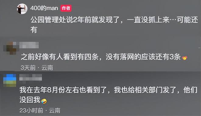 云南玉龙湖现鳄雀鳝！管理方2年没抓到当地钓友30分钟将其钓获(图10)