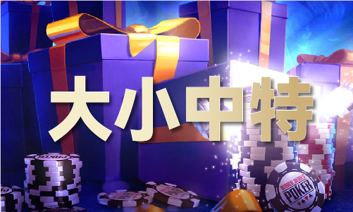 新澳门2024资料大全88743