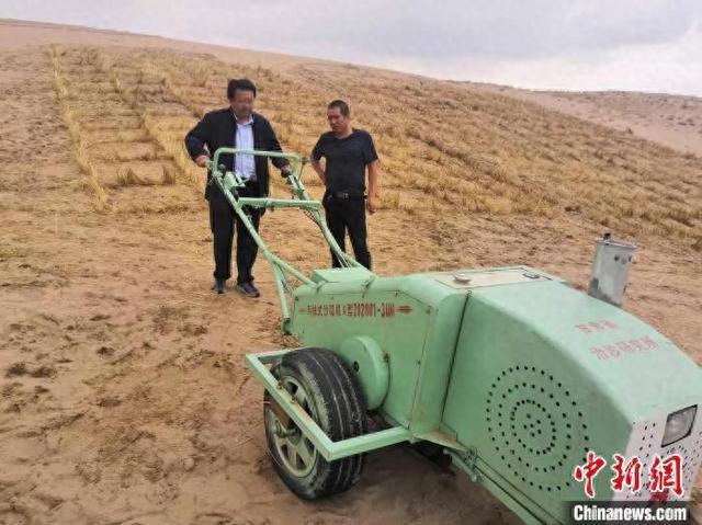 九游娱乐文化：甘肃2024年完成“三北”工程建设任务118065万亩