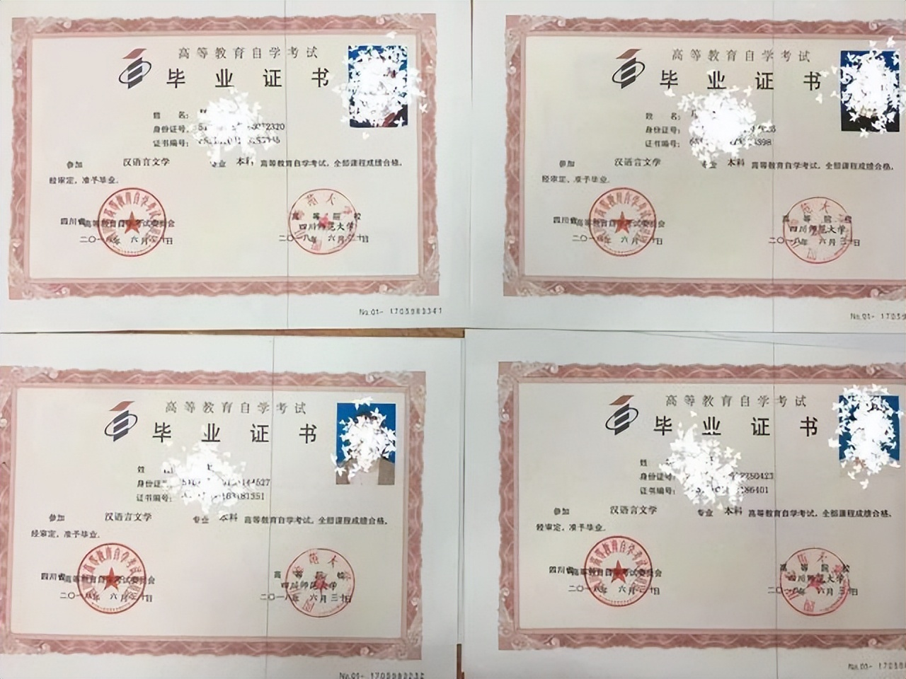 九游娱乐文化：四川师范大学自考本科本科专业有那些？学费是多少？