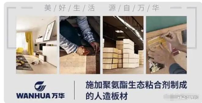 九游娱乐：板材十大品牌最新排行榜（2024年）(图6)