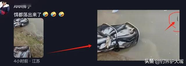 把鱼都钓绝了！浙江男子钓几百斤翘嘴鱼！穿成串嘚瑟遭网友痛批(图6)