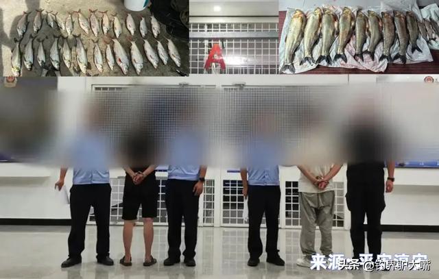 把鱼都钓绝了！浙江男子钓几百斤翘嘴鱼！穿成串嘚瑟遭网友痛批(图11)
