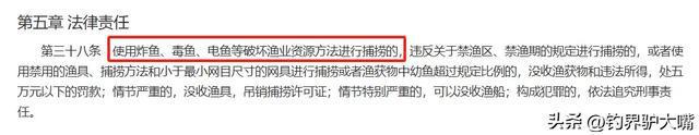 把鱼都钓绝了！浙江男子钓几百斤翘嘴鱼！穿成串嘚瑟遭网友痛批(图12)