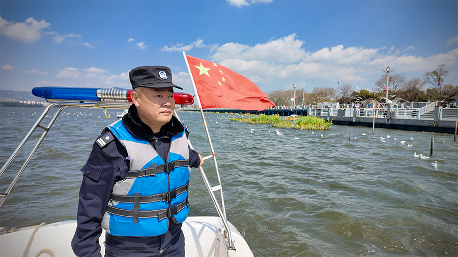 春城人鸥情_新华网(图4)