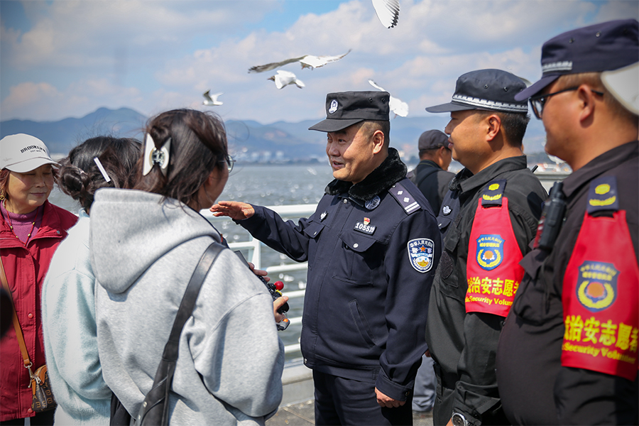 春城人鸥情_新华网(图5)