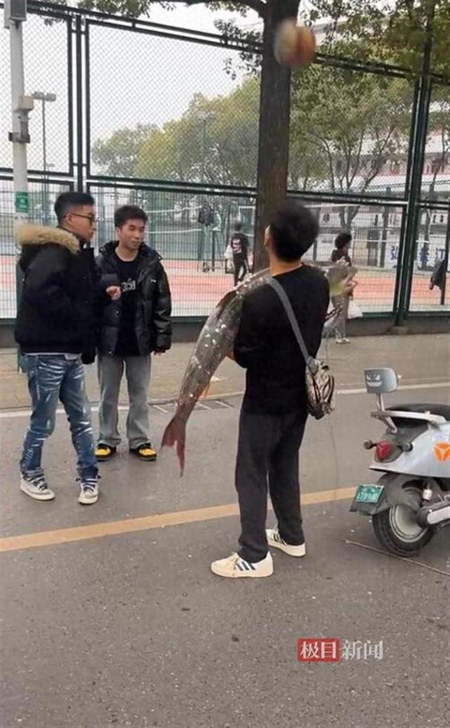 大三学生钓起17米50斤鳡鱼校园内炫耀2小时自封“最强钓鱼男人”
