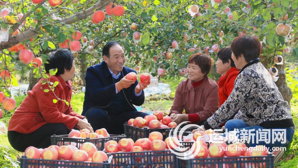 临猗：文商融合绘新卷“农”墨重彩谱华章(图12)