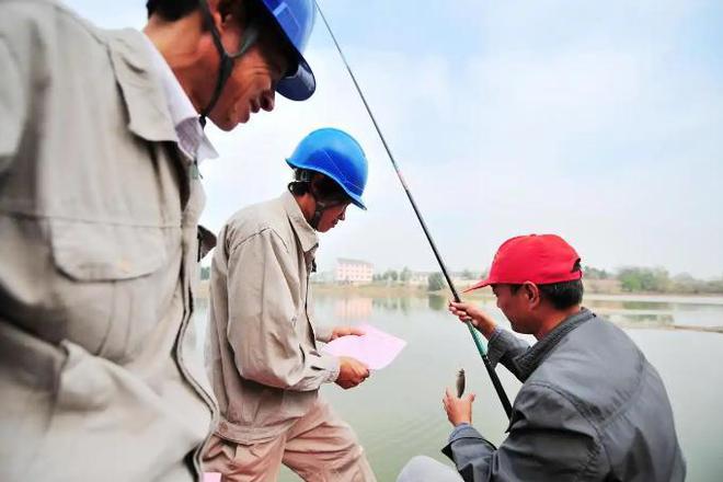 九游娱乐文化：后续！河北男子钓鱼误触高压电瞬间被电冒白烟知情人曝出细节(图15)