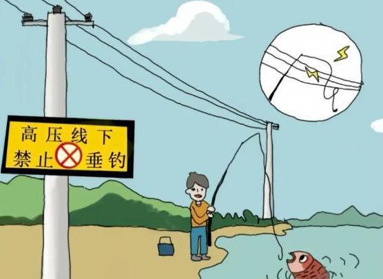 九游娱乐文化：后续！河北男子钓鱼误触高压电瞬间被电冒白烟知情人曝出细节(图12)