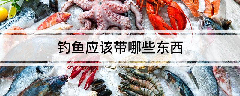 钓鱼应该带哪些东西