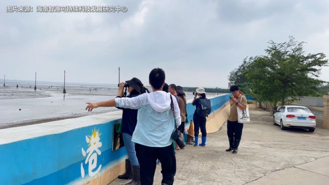 从滩涂渔村到生态地标：北港岛IP的破圈密码(图7)