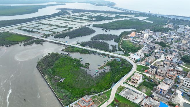 从滩涂渔村到生态地标：北港岛IP的破圈密码(图5)