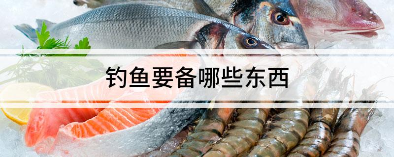 九游娱乐：钓鱼要备哪些东西(图1)