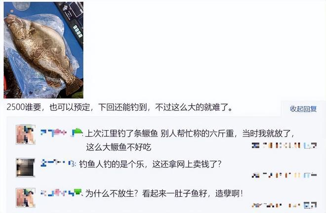 九游娱乐文化：湖南钓友在洞庭湖钓到28斤老鳜鱼网友：这体型都快赶上煤气罐了(图7)