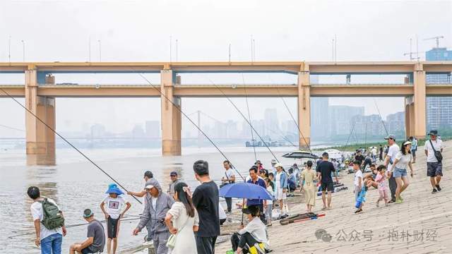 这个行业年均增速103%北上广深杭都在疯狂赚钱(图12)