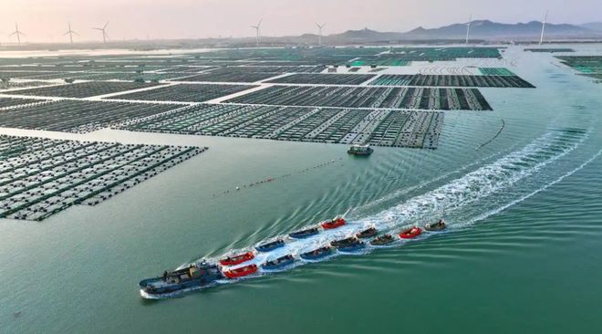 “赎罪经济”流行！年轻人吃起东阿阿胶威海渔竿破圈