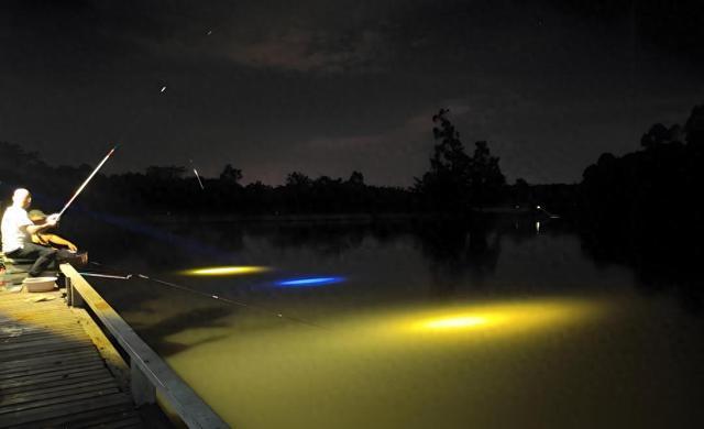 深夜野钓悲剧：小伙溺亡家属索赔百万引发法律争议